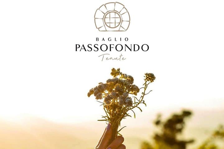 E-Bike Ride and Tasting in Alcamo: Sicilian Vineyards & Olive Groves photo 3