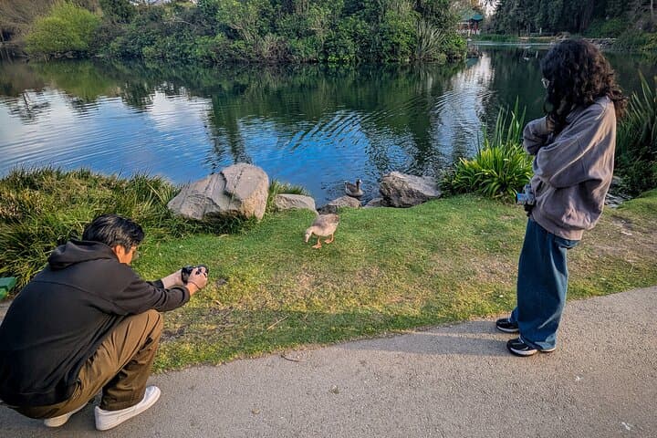 Twilight Wildlife Walk in Golden Gate Park — San Francisco Evening Nature Tour photo 4