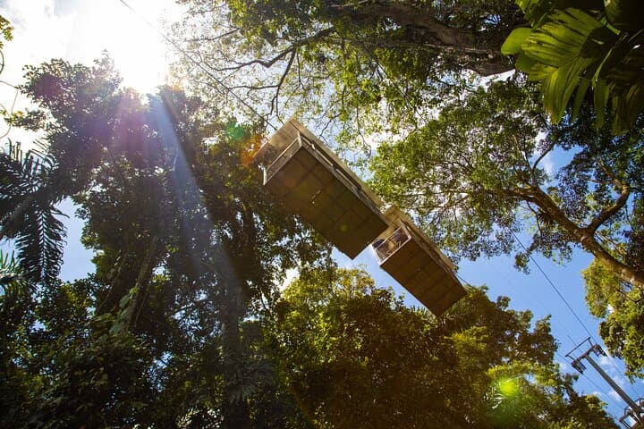 Sky Gondola Through Veragua Rainforest: Canopy Tram, Trails & Puma Waterfall photo 3