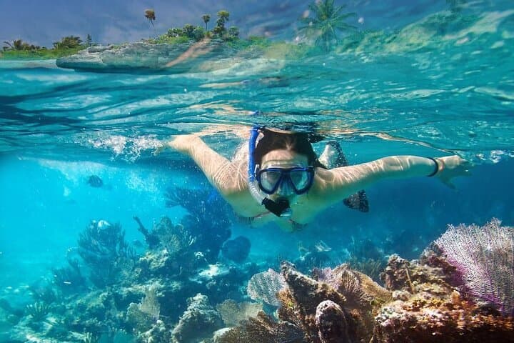 West Nusa Penida Day Trip: Kelingking, Crystal Bay & Snorkeling Guide photo 5
