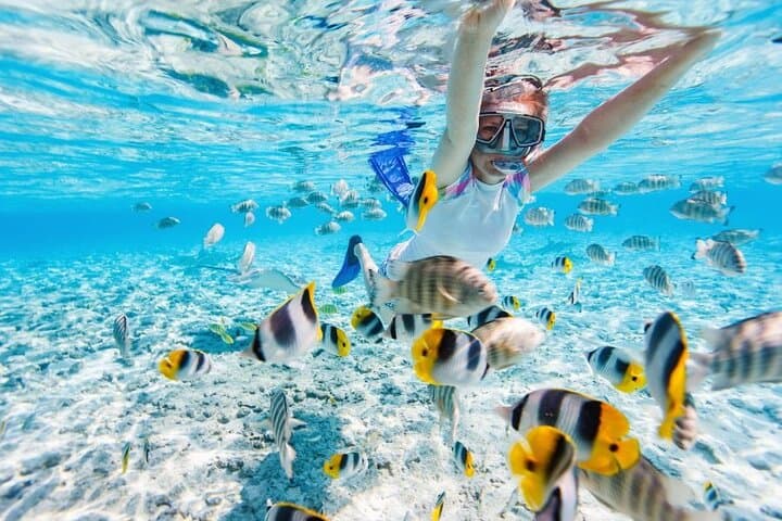 West Nusa Penida Day Trip: Kelingking, Crystal Bay & Snorkeling Guide photo 6