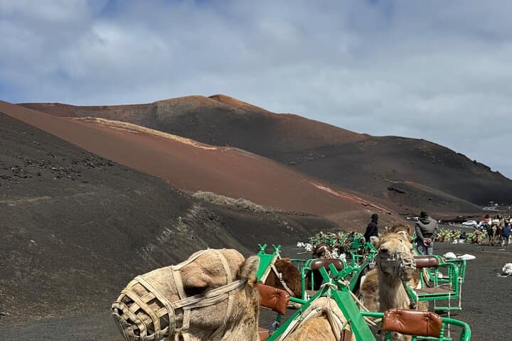 Private Crew Tour of Lanzarote: Timanfaya Volcano, La Geria Wines & Coastal Drives photo 2