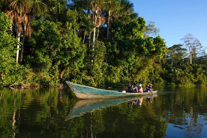 3-Day Posada Amazonas Classic Program: Tambopata Lodge, Canopy Tower & Wildlife photo 2