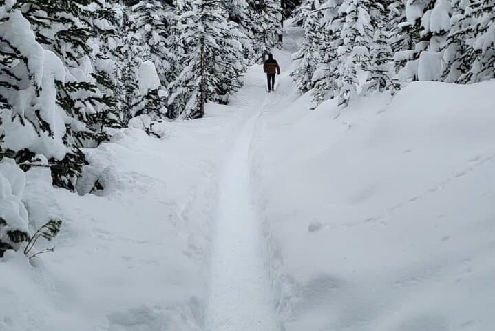 Banff and Yoho Rocky Mountain Discovery Day Tour from Calgary — Lake Louise, Moraine & Johnston Canyon photo 6