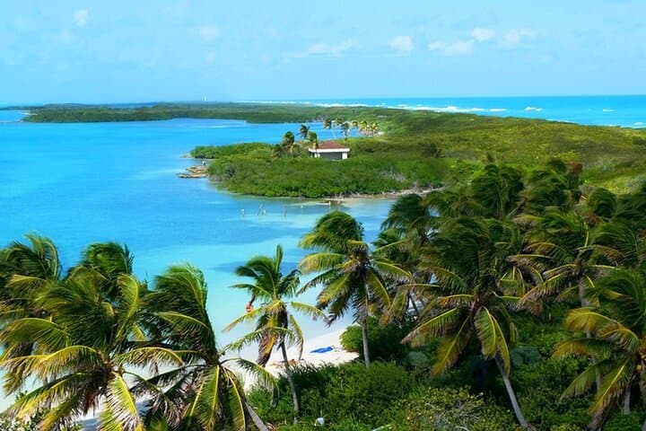 Isla Contoy Day Trip: Snorkel El Meco Reef and Birdwatching from Cancún photo 6