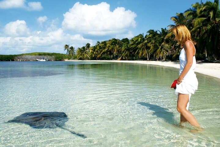 Isla Contoy Day Trip: Snorkel El Meco Reef and Birdwatching from Cancún photo 3