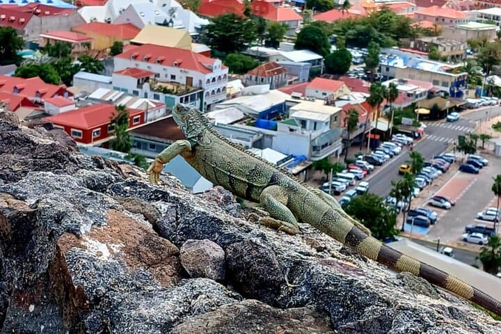 Customizable St. Maarten Island Tour — Maho Beach, Fort Amsterdam & Border Monument