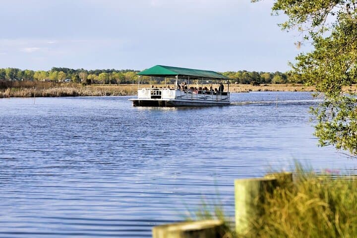 Discover Magnolia Plantation: A Historic Lowcountry Adventure near Charleston photo 2
