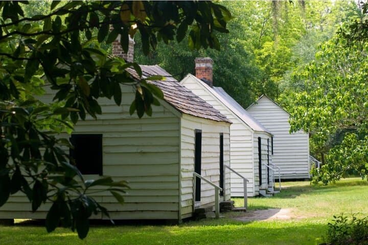 Discover Magnolia Plantation: A Historic Lowcountry Adventure near Charleston photo 6