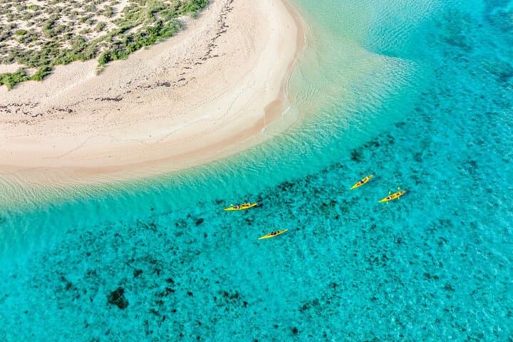 Lagoon Explorer: Ningaloo Reef Full-Day Kayak & Snorkel Adventure photo 2