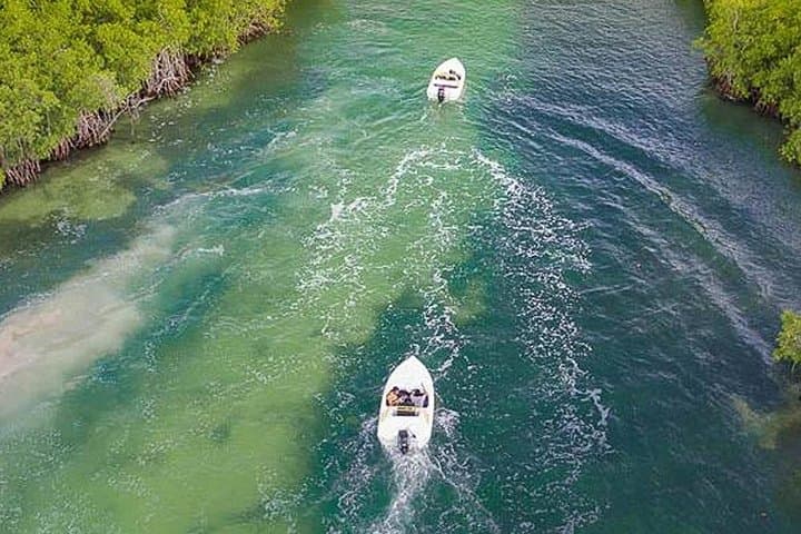 Captain Your Own Speedboat Through Cancun's Nichupte Lagoon and Snorkel Caribbean Reefs photo 2