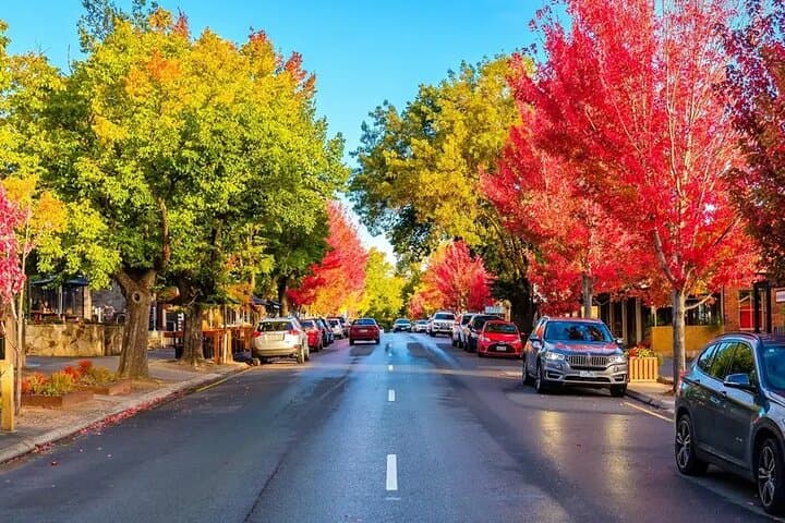 Adelaide to Hahndorf Full-Day Tour: Markets, Mount Lofty & Haus Lunch photo 3