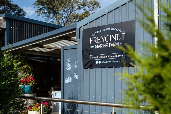 Wineglass Bay Day Trip from Launceston — Freycinet National Park Highlights photo 4