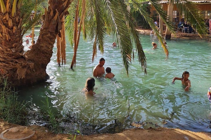 Ksar Ghilane & Matmata Day Trip: Oasis Swimming, Cave Homes and Toujane Panorama from Djerba photo 3