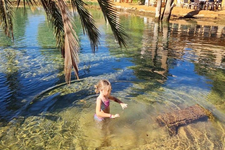 Ksar Ghilane & Matmata Day Trip: Oasis Swimming, Cave Homes and Toujane Panorama from Djerba photo 2