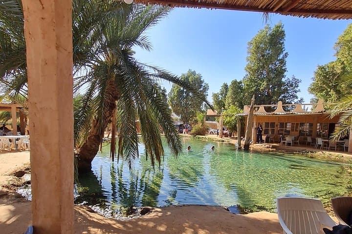 Ksar Ghilane & Matmata Day Trip: Oasis Swimming, Cave Homes and Toujane Panorama from Djerba photo 6
