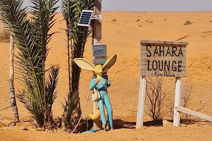 Ksar Ghilane & Matmata Day Trip: Oasis Swimming, Cave Homes and Toujane Panorama from Djerba photo 4