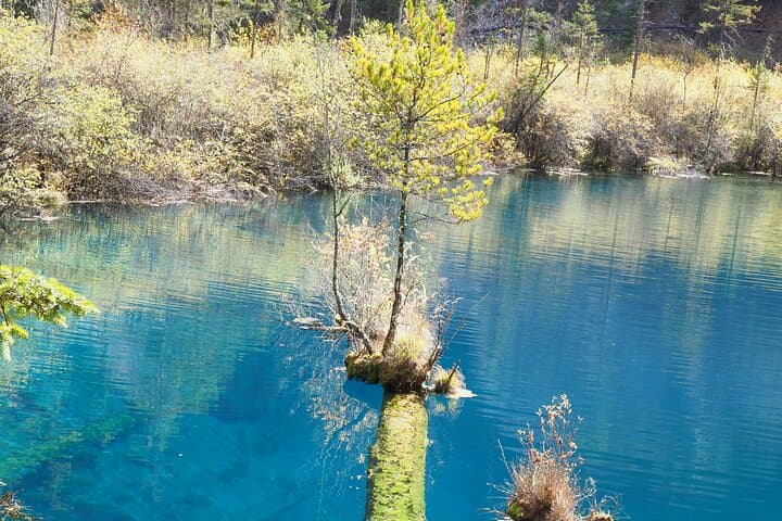 3-Day Jiuzhaigou and Huanglong Scenic Adventure from Chengdu photo 5
