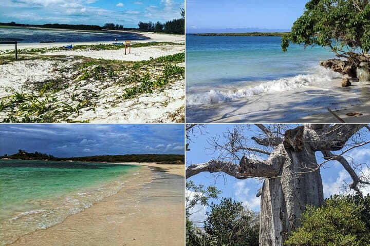 Three Bays and Baobab Tour in Diego Suarez — Ramena, Bay of Dunes & Pigeon Bay