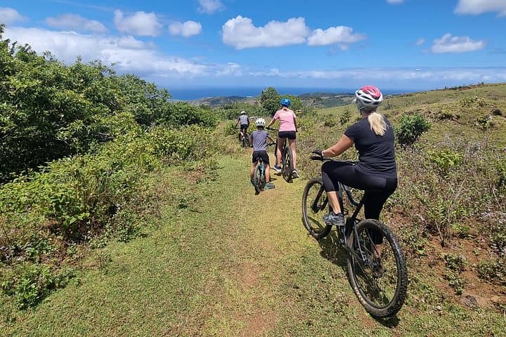 Mauritius Private Mountain Bike Park: Chamouny Mo'Bike Downhill Adventure photo 2