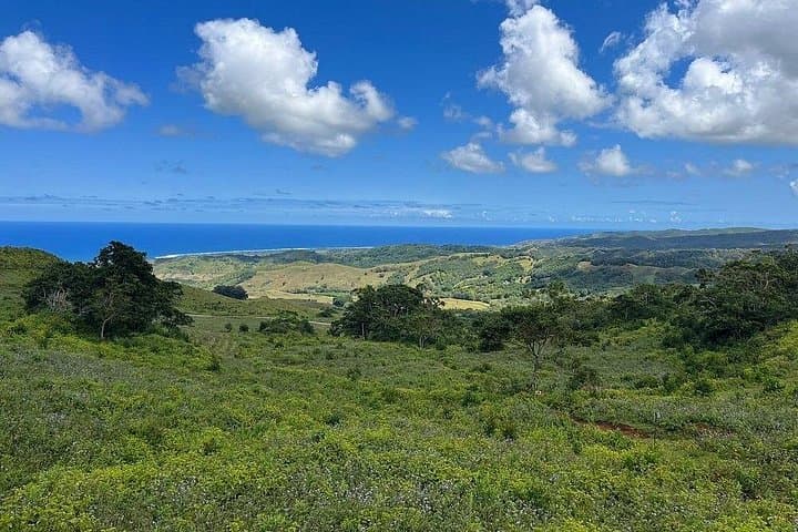 Mauritius Private Mountain Bike Park: Chamouny Mo'Bike Downhill Adventure photo 3