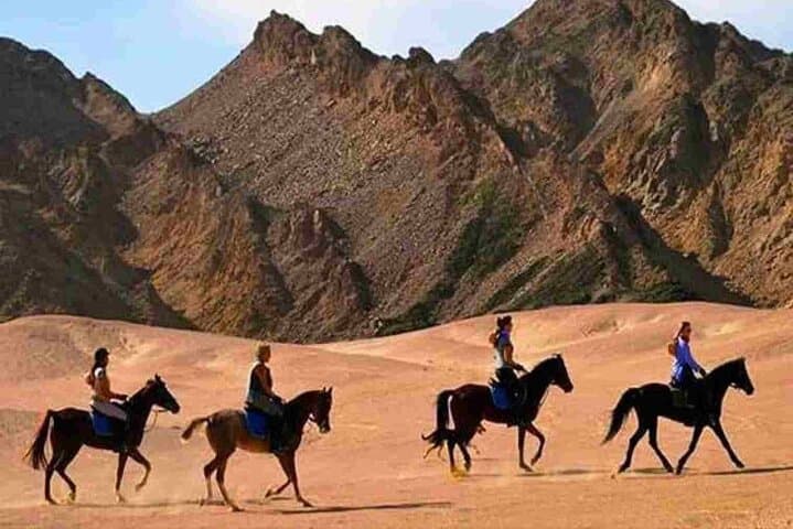 3-Hour Horseback Ride in Hurghada — Desert, Beach & Sea photo 5