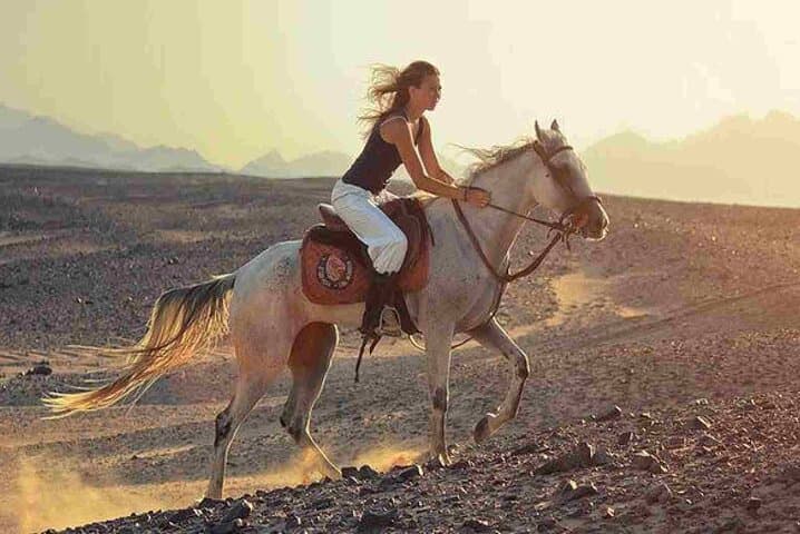 3-Hour Horseback Ride in Hurghada — Desert, Beach & Sea photo 6