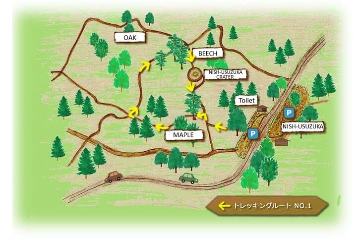 Fuji Forest Trek: 4-Hour Guided Nature Walk from Shin-Fuji photo 5