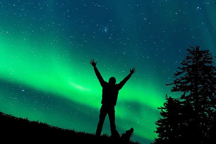 Unlimited Northern Lights Hunt by Minibus — Rovaniemi Aurora Safari photo 1