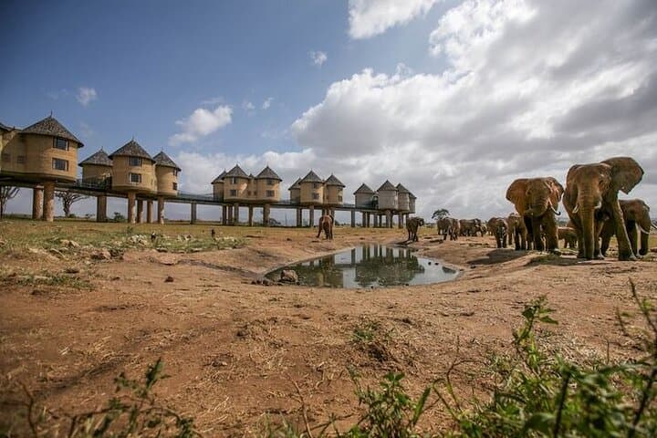 Salt Lick Lodge Safari from Diani: 2-Day Private Game Drive in Taita Hills photo 1