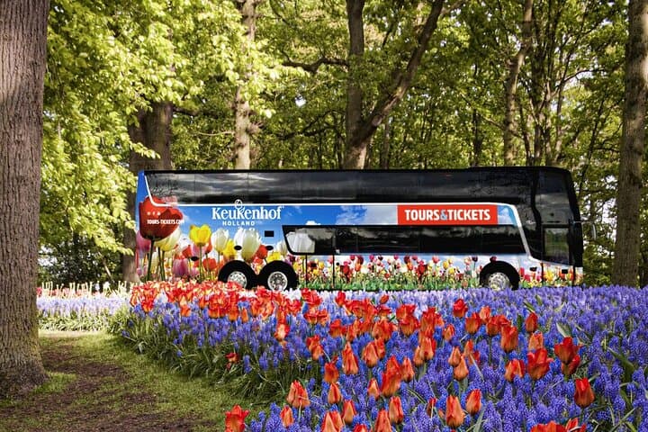 Keukenhof Gardens Day Trip from Amsterdam: Tulip Fields, Fast-Track Entry & Canal Cruise photo 3