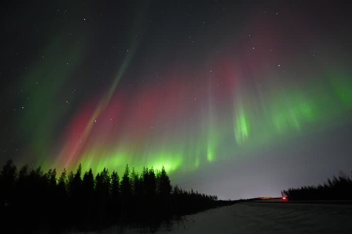 Guaranteed Northern Lights Chase from Rovaniemi: Pro Minibus Tour photo 2