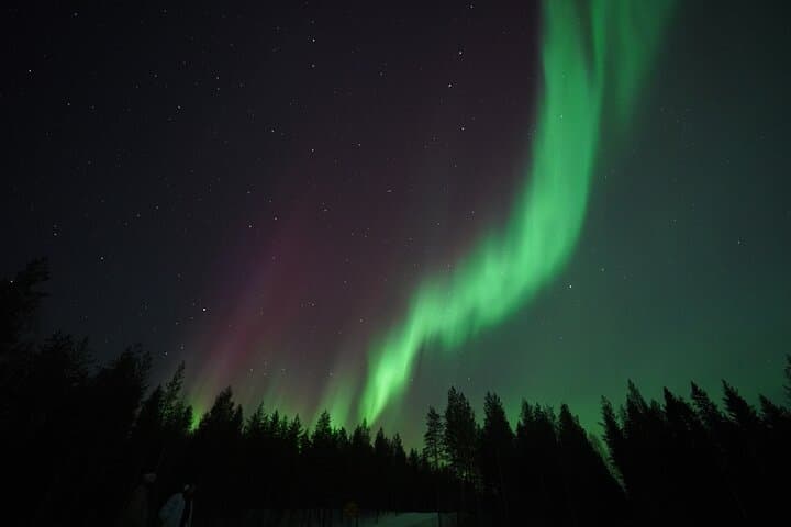 Aurora Quest by Minibus — Rovaniemi Northern Lights Chase