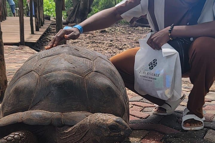 Stone Town, Prison Island & Spice Tour: Explore Zanzibar's History, Tortoises and Spices photo 4