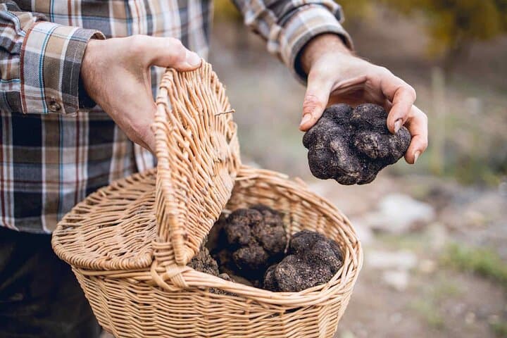 Tuscany Truffle Hunt from Rome — Val d'Orcia Truffle Search, Lunch & Wine Tasting photo 4