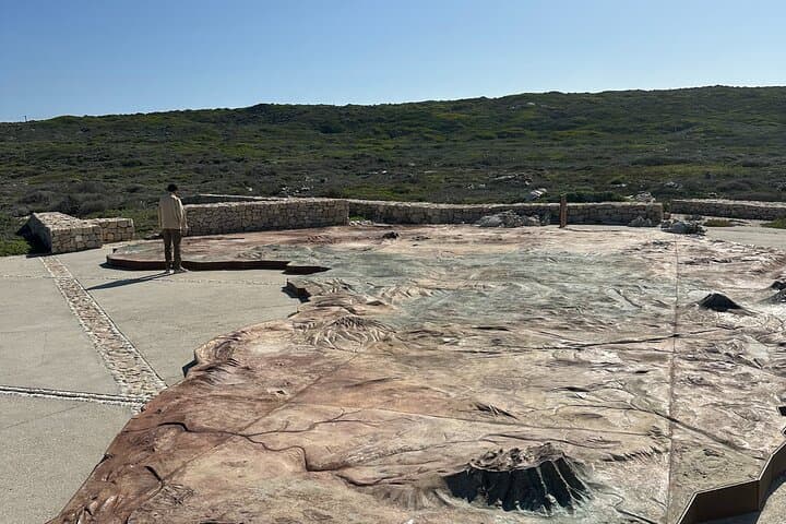 Cape Agulhas Day Tour from Cape Town — Lighthouse, Penguins & Fairview Wine Tasting photo 6