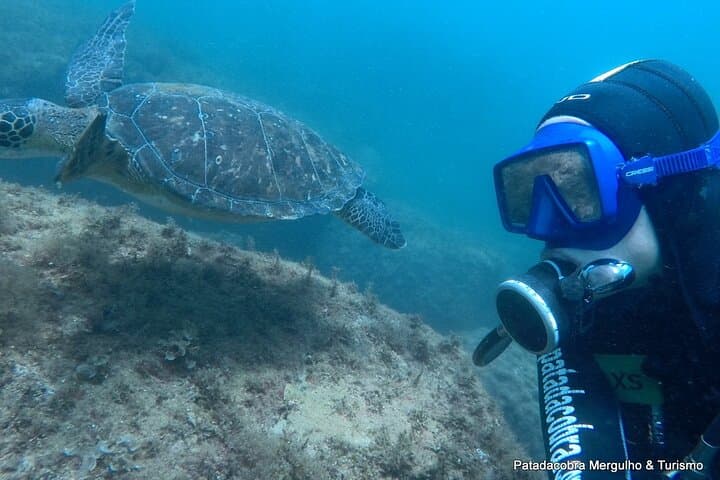 Dive Baptism at Arvoredo Island & Estaleiro — Intro Scuba, Snorkel & Boat Tour in Bombinhas photo 6