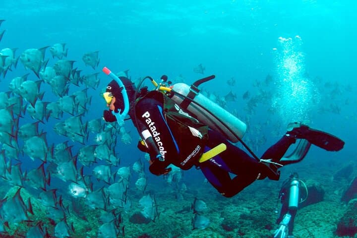 Dive Baptism at Arvoredo Island & Estaleiro — Intro Scuba, Snorkel & Boat Tour in Bombinhas photo 3