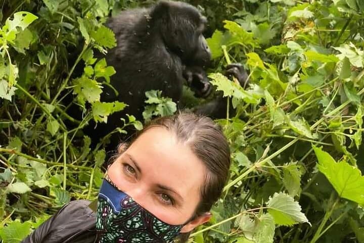 3-Day Gorilla Trekking in Bwindi Impenetrable National Park photo 2