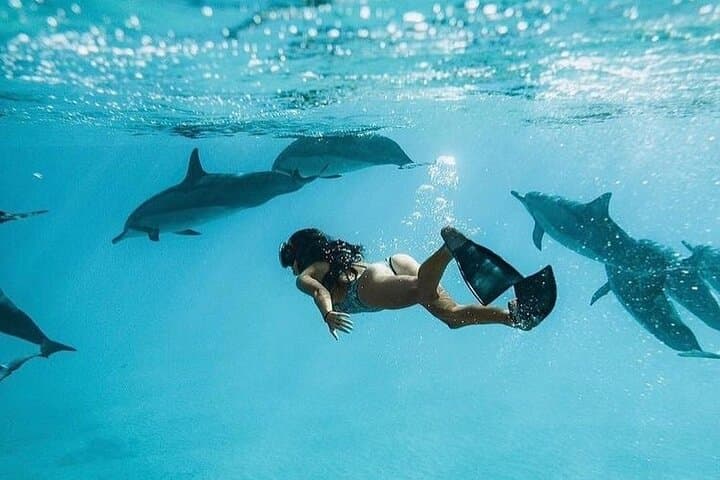 Hurghada Dolphin House Full-Day Snorkeling Cruise with Buffet Lunch photo 6