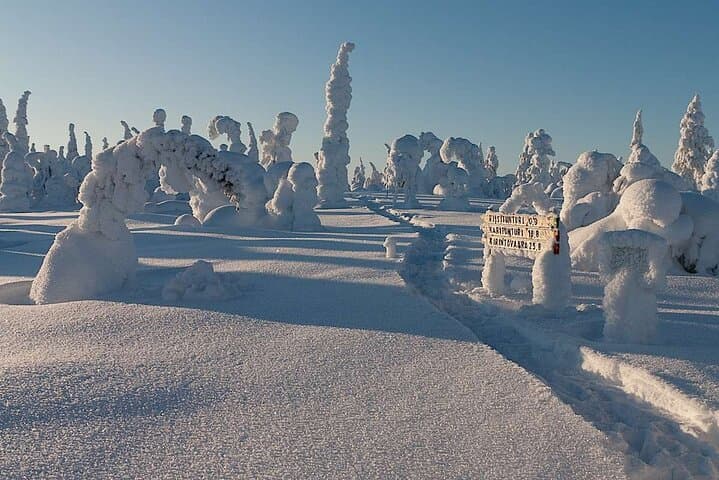 Winter Snowshoe Adventure to Riisitunturi National Park from Rovaniemi photo 3