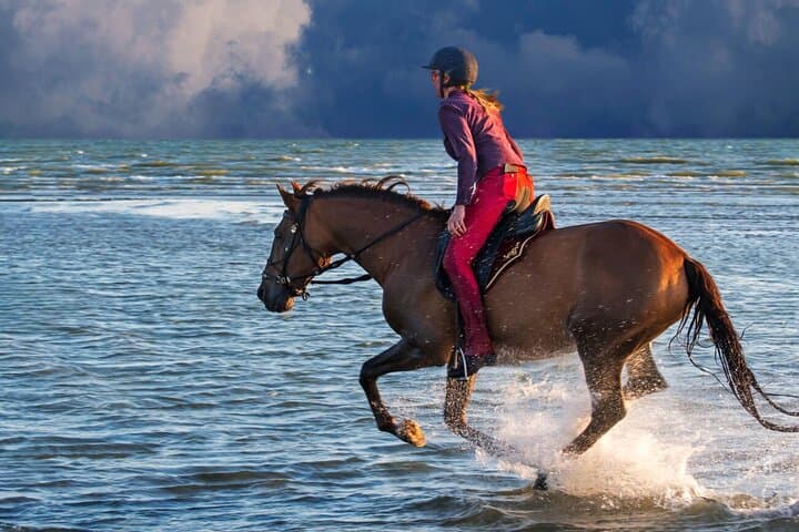 Sunset Horseback Ride from Casablanca — 2–3 Hour Beach and Countryside Experience