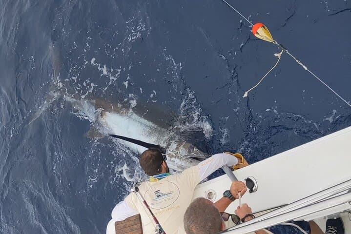 Macaronesia Charter Fishing: Deep Sea Battles Off La Gomera's Coast photo 4