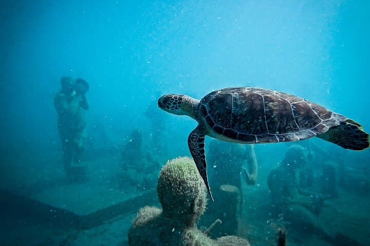 Snorkel Under SXM: Explore St Maarten’s Underwater Sculpture Park photo 2