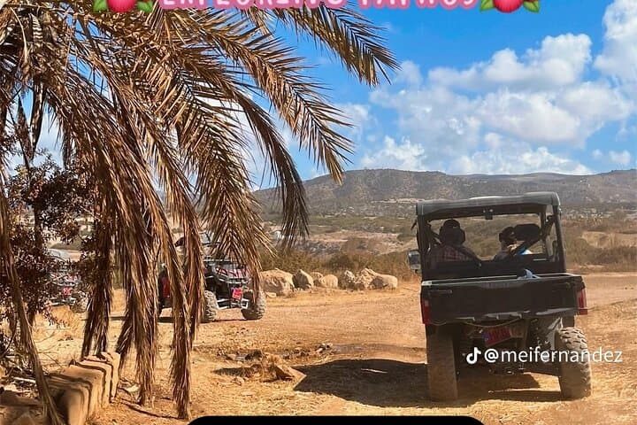 Lara Bay and Adonis Falls Quad & Buggy Tour — Akamas Off-Road Swim Adventure photo 2