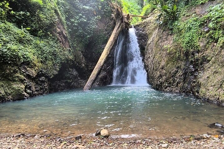Half-Day Hike to the Seven Sisters Waterfalls in Grenada — Rainforest Trek & Swim photo 3