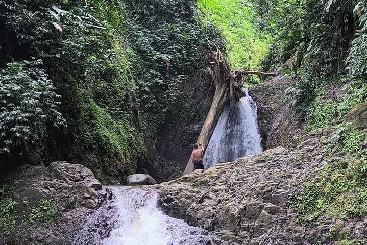 Half-Day Hike to the Seven Sisters Waterfalls in Grenada — Rainforest Trek & Swim photo 5