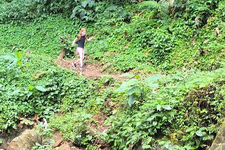 Half-Day Hike to the Seven Sisters Waterfalls in Grenada — Rainforest Trek & Swim photo 6