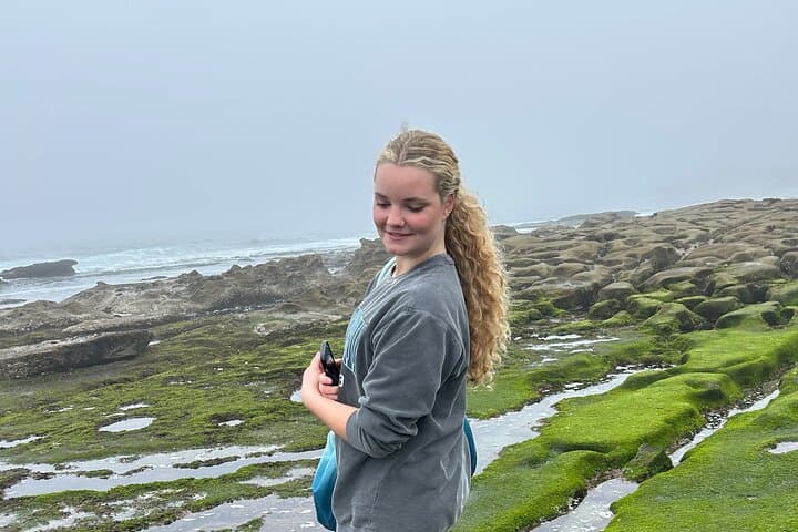 Exploring La Jolla’s Tide Pools: An Immersive Coastal Adventure in San Diego photo 3