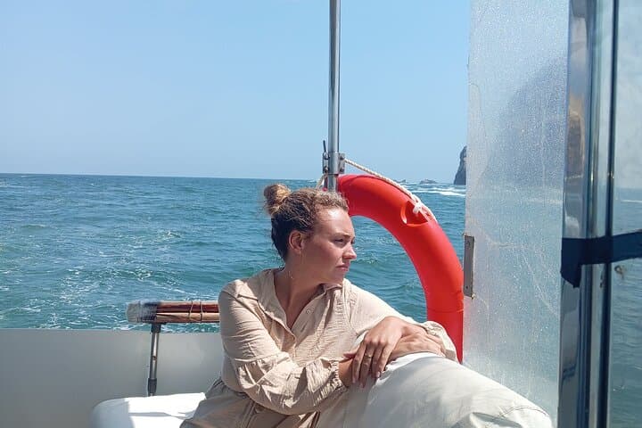 Palomino Islands Yacht Tour: Swim with Sea Lions off Callao photo 3
